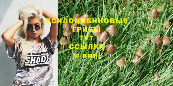 apvp Осинники