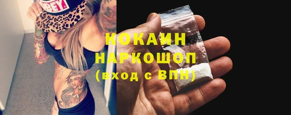 apvp Осинники