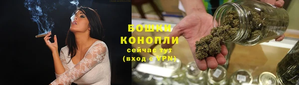 apvp Осинники