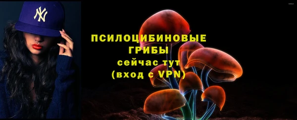 apvp Осинники