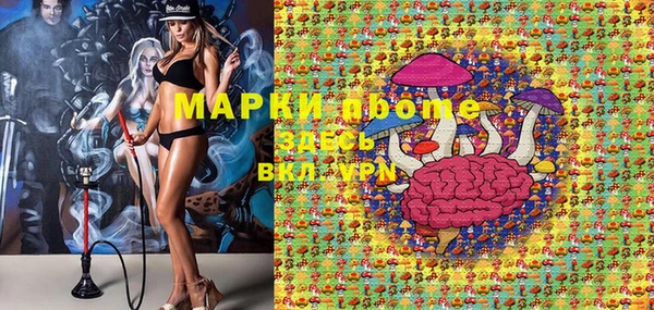 apvp Осинники