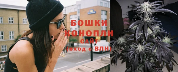 индика Остров