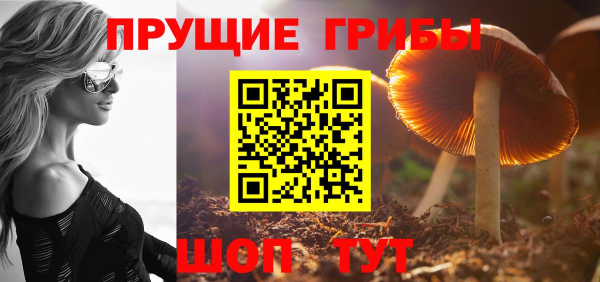 Псилоцибиновые грибы Psilocybine cubensis  Вход с VPN  Печора 