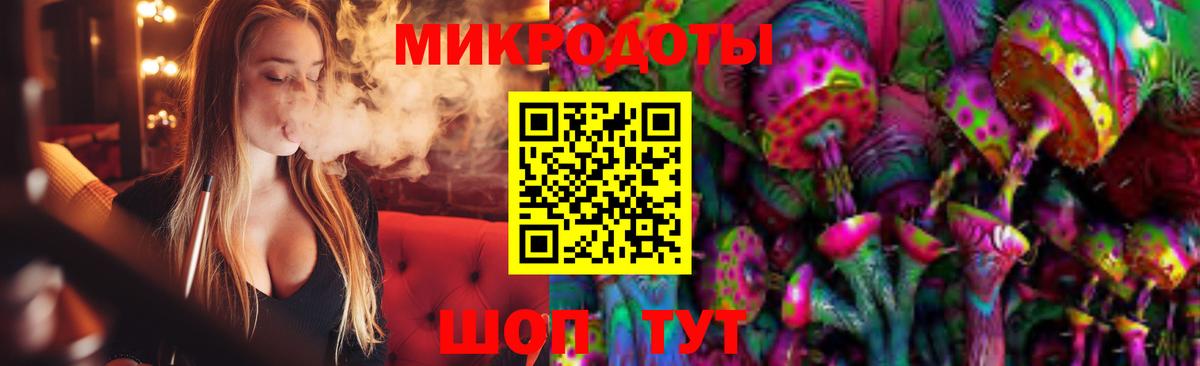 Псилоцибиновые грибы Psilocybine cubensis  Печора 